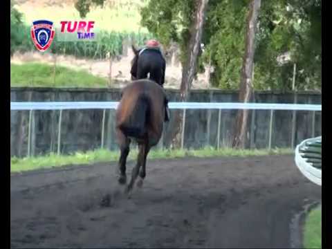 FLOREAL NEWS RACE MEETING 23