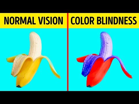 How Color Blind People See the World