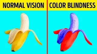 How Color Blind People See the World