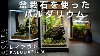 盆栽石を使ったパルダリウムのレイアウト│BONSAI PALUDARIUM SETUP