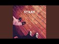 Stray