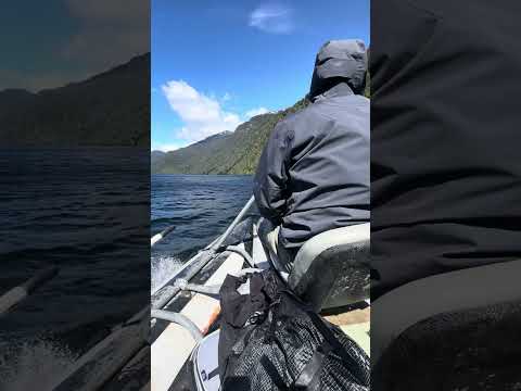 Summer fly fishing in Coyhaique, Chilean Patagonia: the run across the lake #Shorts