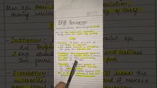 DNA replication #shorts #short #viral #science #viralshort #viralshorts #education #dna #subscribe