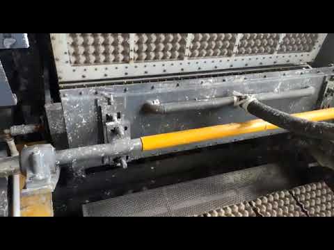 Beston BTF5-8 EGG TRAY P250108164