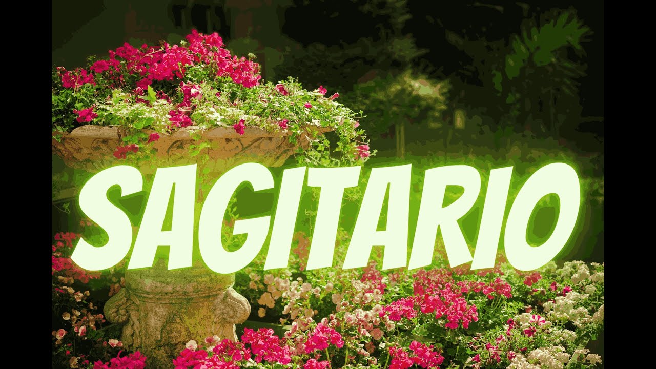 SAGITARIO🏹♐ESTA SEPARACIÒN LE ESTÀ AFECTANDO A ESTA PERSONA!🥹😢NO SIENTE PAZ DESEA SABER DE TI!😍