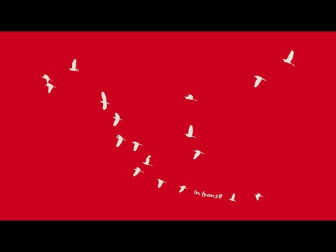 Simon Safhalter - Gone Forever