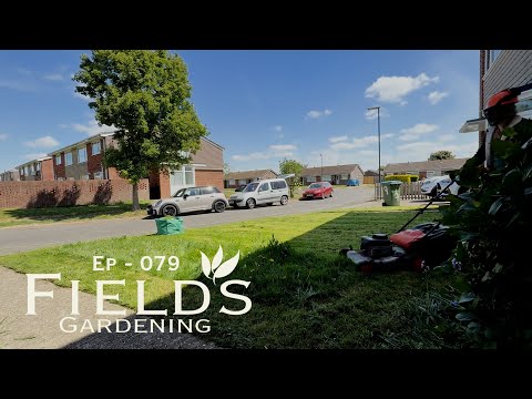 1000 Subscribers! - Day in the Life of a Gardener - Ep 079