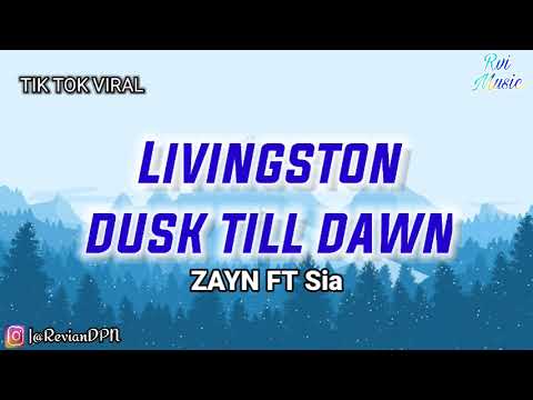 LIVINGSTON - Dusk Till Dawn (ZAYN ft Sia Cover)