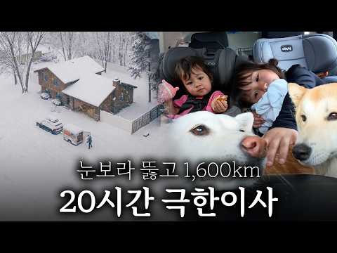 드디어 도착했습니다! 50cm 폭설 직전, 8식구가 살을 맞대고 버틴 20시간