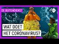 WAT DOET HET CORONAVIRUS IN ONS LICHAAM?? | De Buitendienst | NPO Zapp
