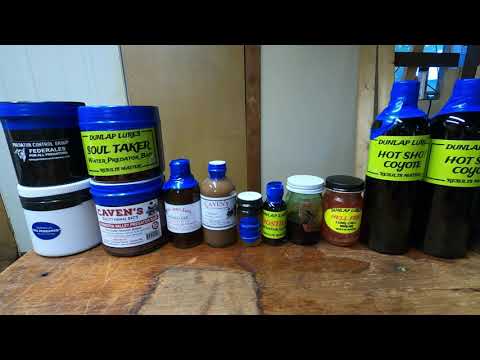 My Top Picks for Coyote Baits and Lures