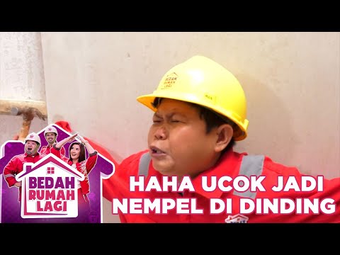 UCOK JADI DIPAKU DI DINDING GINI HAHAHA - BEDAH RUMAH LAGI