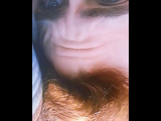 Когда просто прилег отдохнуть, а тут такое...