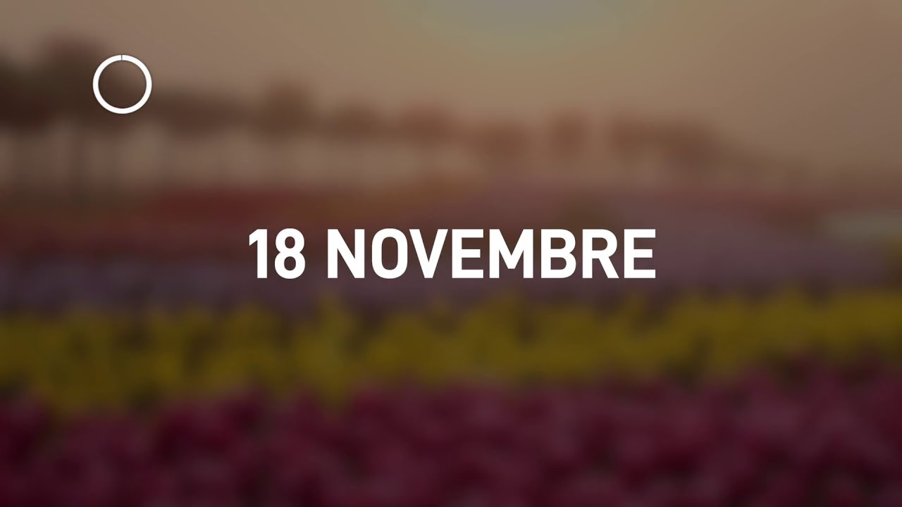 18 Novembre 2024 | Meditazione Parole di Vita