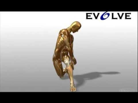 Exercise Library for Health and Fitness Fan/Experts