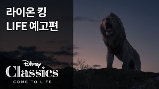 [라이온 킹] LIFE 예고편