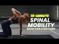 15 Min. Spinal Mobility Routine | Back Pain Relief Stretches | Follow Along w/ Music | Daily Flow