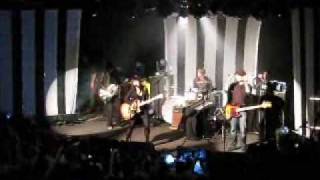 Little Birdy Brother