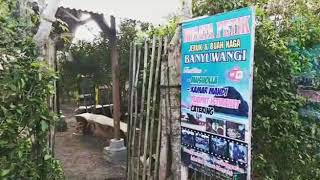 preview picture of video 'Agro Wisata Petik Buah Naga dan Jeruk, di Pesanggaran Banyuwangi Arah Pulau Merah'