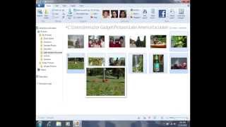 Moving Photos to a Different Folder in Photo Gallery