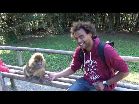 IS DOCH NUR CRACK #DER ECHTE NATIF 2