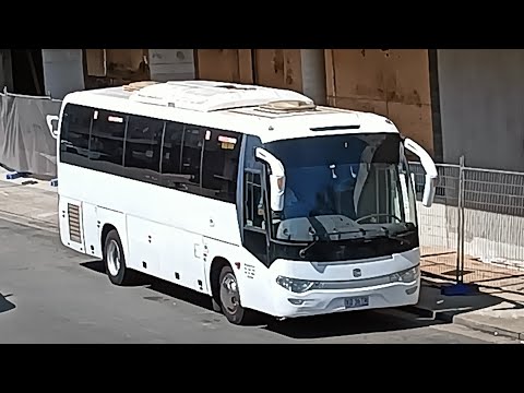 Rare! - MJ Coaches - XO36TR - Zhongtong LCK6935H[Lidcombe](40T7 - Olympic Park)