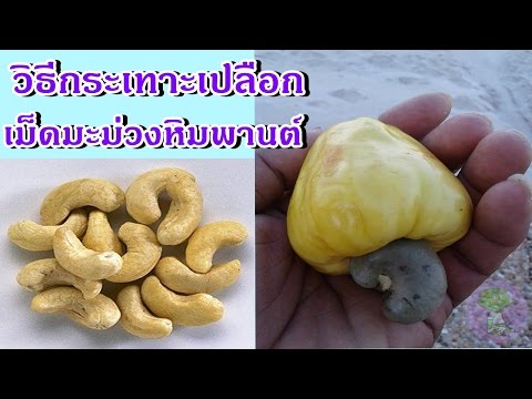วิธีการปลุกระดมยากผู้หญิง เชื้อโรคชายมังกรทอร์นาโดซื้อ