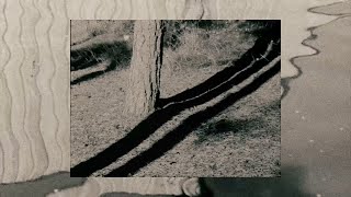 Colin Stetson &amp; Sarah Neufeld - And Still They Move (Unofficial Music Video)