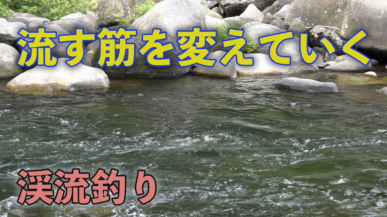 渓流釣り 流す筋を変えていく