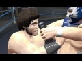 AAA Lucha Libre Video Game