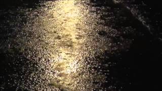 Rain - Ryuichi Sakamoto