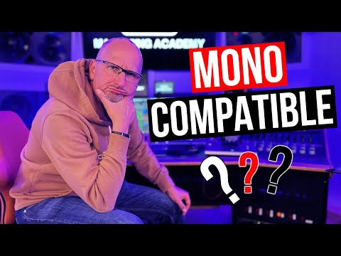 MAAT 2BusControl freebie plugin -Tips and Tricks by Friedemann Tischmeyer