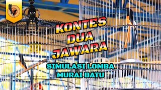 Download lagu SIMULASI LOMBA MURAI BATU | PANCINGAN   ASAH MENTAL AUTO NGEGAS mp3