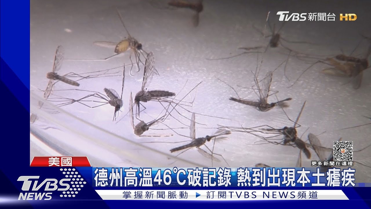 攝氏46度! 美國德州連9天破高溫記錄熱到出現本土瘧疾