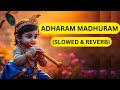 Adharam Madhuram Lofi Slowed Reverb अधुरं मधुरं वदनं मधुरं Mad