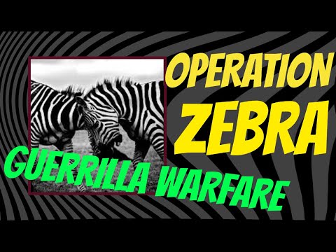 OPERATION ZEBRA - Guerrilla Warfare Fun in KVK - Rise of Kingdoms