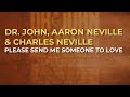 Dr. John, Aaron Neville & Charles Neville - Please Send Me Someone To Love (Official Audio)