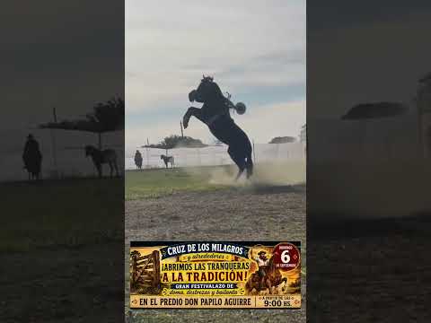 Domingo 6-S Gran JINETEADA y BAILANTA en Cruz de los Milagros inicia 9Hs Invita Beto Quiróz
