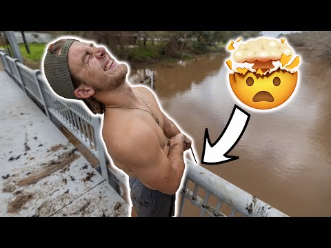 Magnet Fishing A STACKED Bridge - This River Is LOADED With Treasures