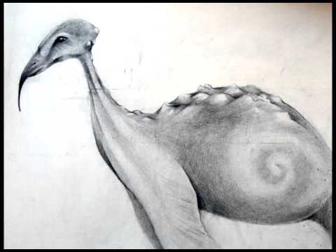 Ted Nemeth - Wszystkie kolory słońca