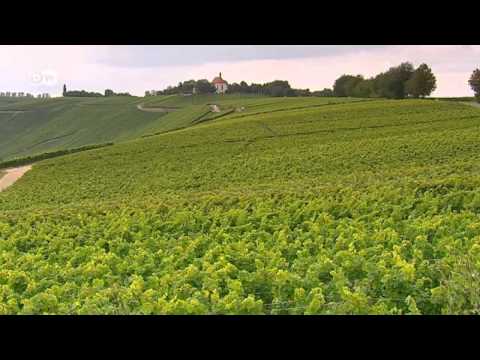 Wine-Producing Regions - Mosel, Pfalz and Franconia | Discover Germany