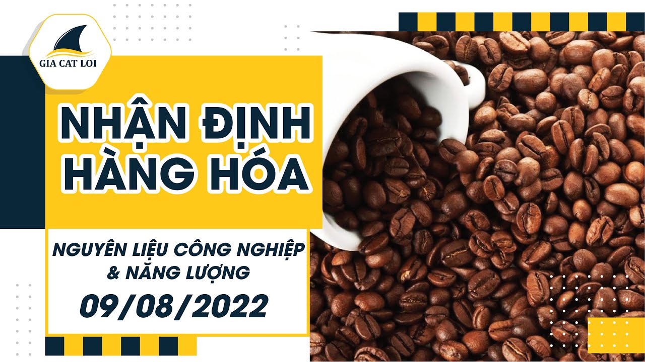 Nhận Định Thị Trường Năng Lượng & Nguyên Liệu Công Nghiệp Ngày 09/08/2022