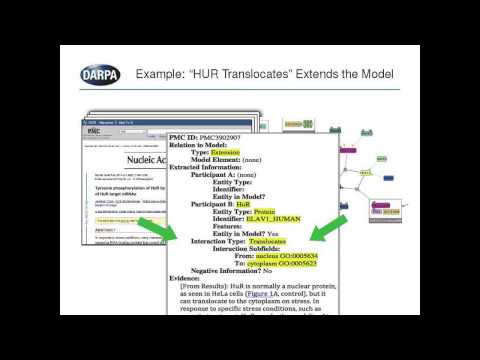 Dr. Paul Cohen: DARPA Program Manager, DARPA BiT Keynote Speaker