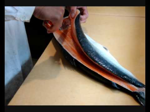 download lagu mp3 mp4 Lachs Fish, download lagu Lachs Fish gratis, unduh video klip Lachs Fish
