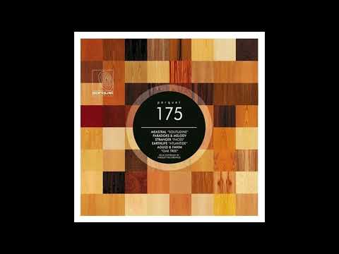 [T] Melody Stranger, Paradoks - Faces (Original Mix)-dhc