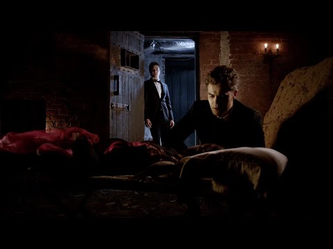 TVD 4x19 - Damon and Stefan lock humanity-less Elena up in their cellar | Delena Scenes HD