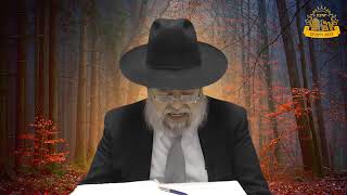 דף היומי בחצי שעה - יבמות דף ח'