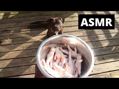 YouTube video about: Where to buy raw chicken feet for dogs?