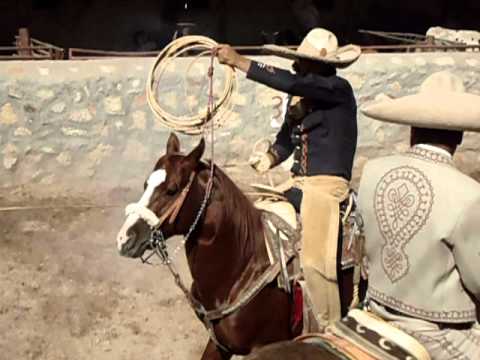 Piales #2 (16 Oct. 2011)