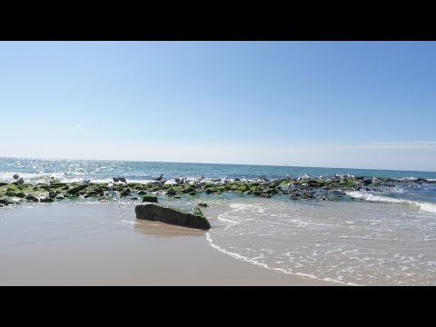 Westerland - Sylt | Alemanha 🇩🇪 19.08.2022 | Viagem de 1 dia de Kiel a Sylt